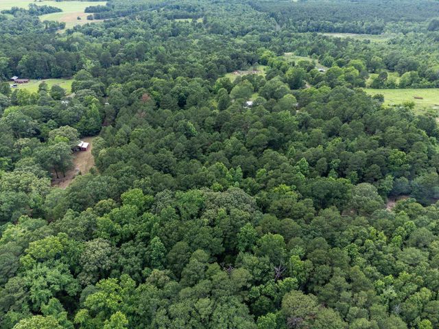 1738 White Cedar Rd, Big Sandy, TX 75755