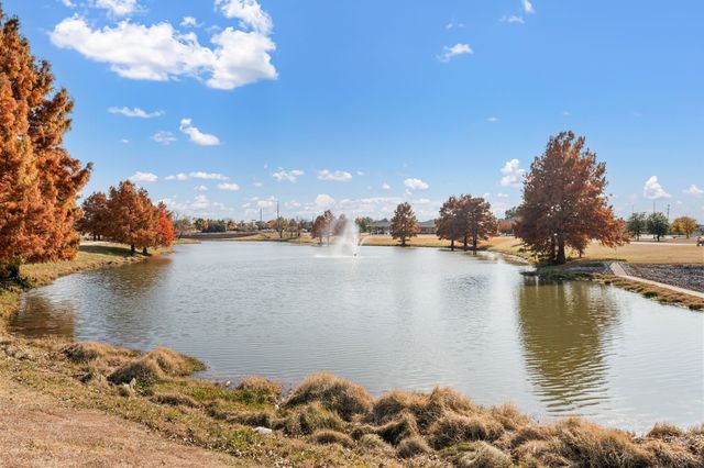 2216 Willow Drive, Little Elm, TX 75068