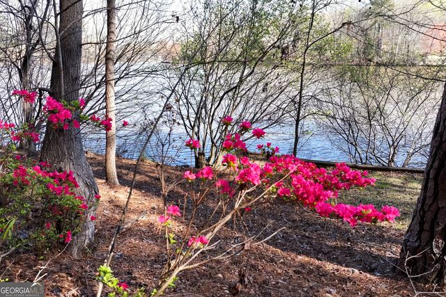 260 Brushy Creek Circle, Jackson, GA 30233