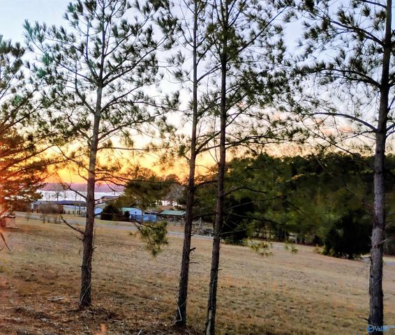 8155 County Road 44, Cedar Bluff, AL 35959