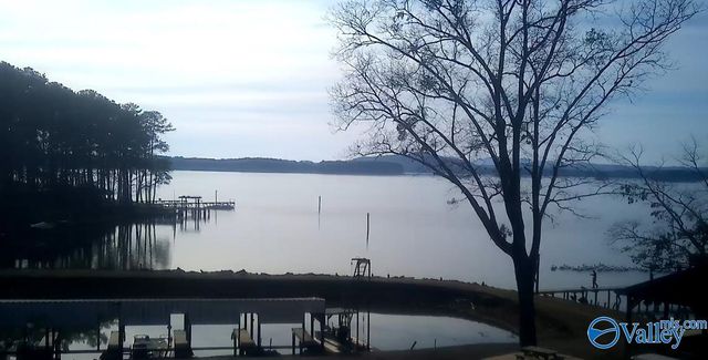 8155 County Road 44, Cedar Bluff, AL 35959