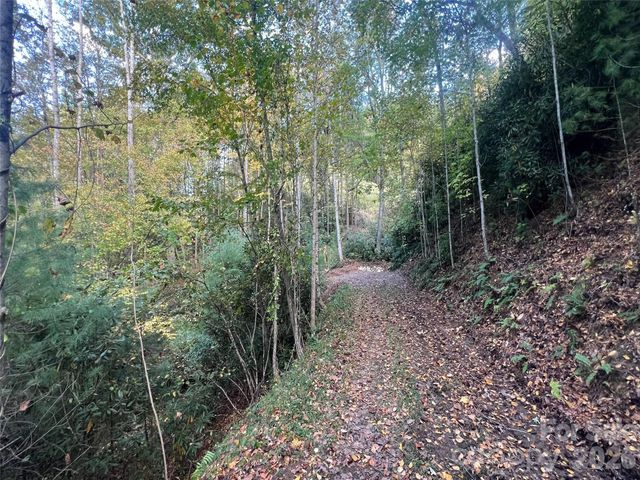 6 Dividing Ridge Trail 01, Arden, NC 28704