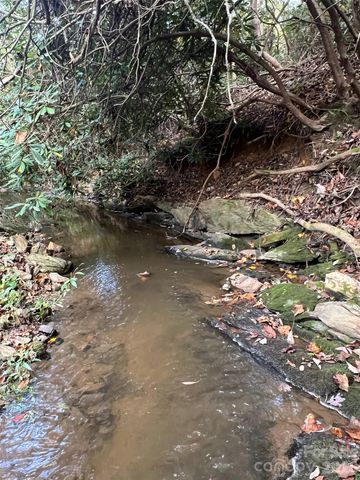 6 Dividing Ridge Trail 01, Arden, NC 28704
