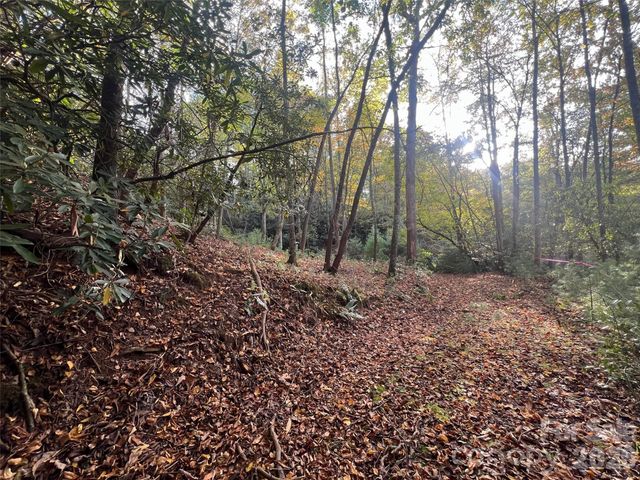 6 Dividing Ridge Trail 01, Arden, NC 28704