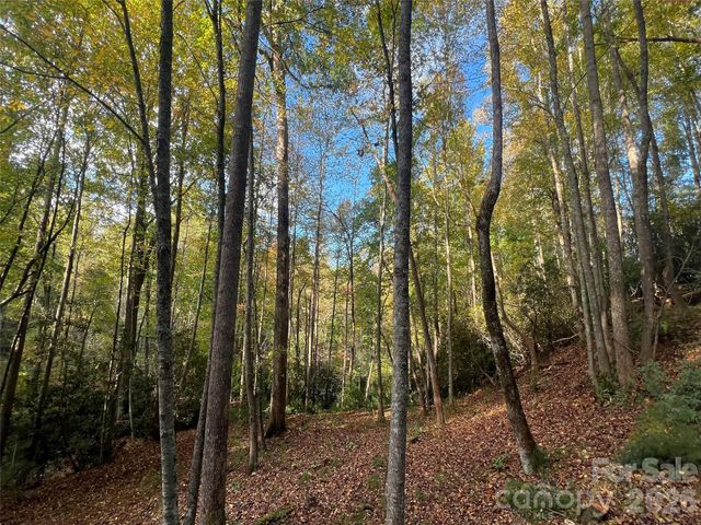 6 Dividing Ridge Trail 01, Arden, NC 28704