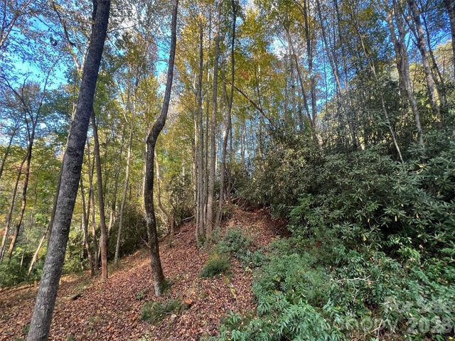 6 Dividing Ridge Trail 01, Arden, NC 28704