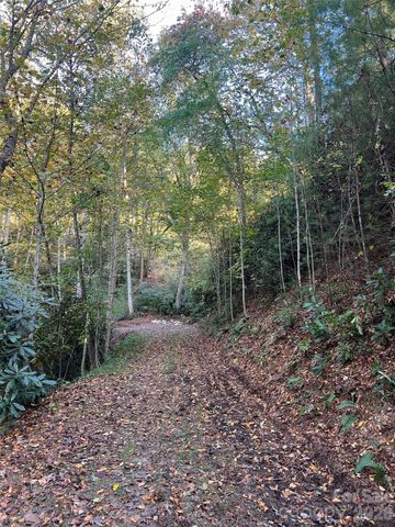 6 Dividing Ridge Trail 01, Arden, NC 28704