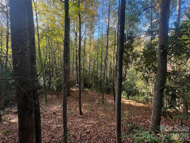 6 Dividing Ridge Trail 01, Arden, NC 28704