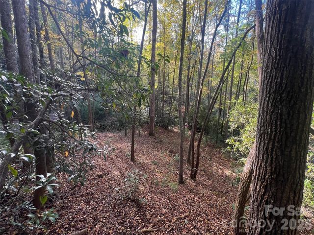 6 Dividing Ridge Trail 01, Arden, NC 28704