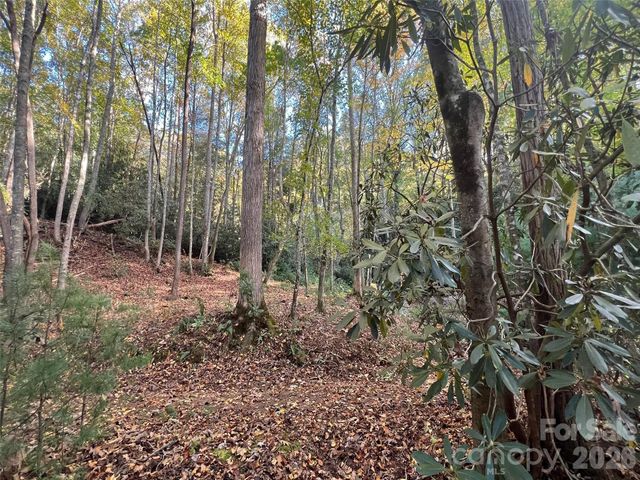 6 Dividing Ridge Trail 01, Arden, NC 28704