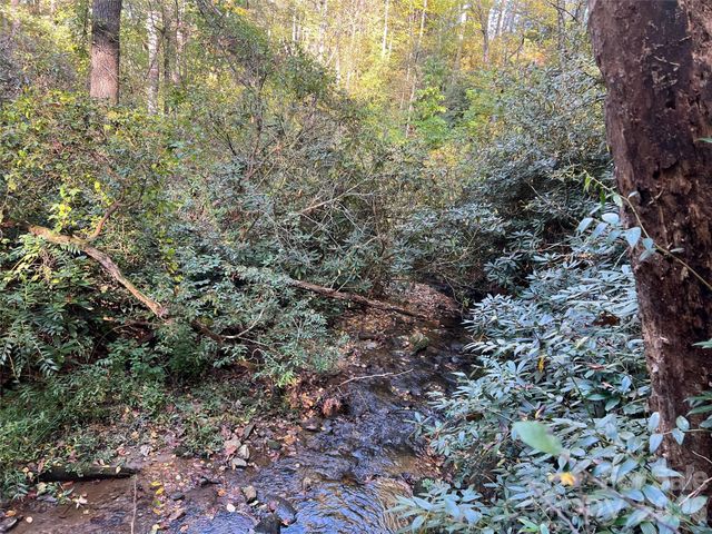 6 Dividing Ridge Trail 01, Arden, NC 28704