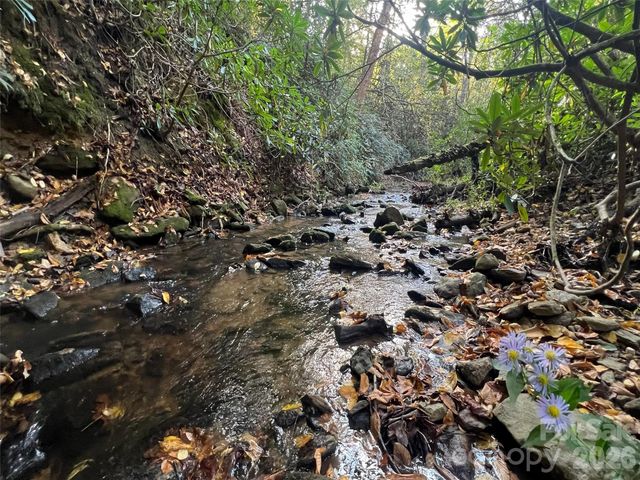 6 Dividing Ridge Trail 01, Arden, NC 28704