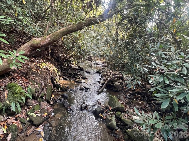6 Dividing Ridge Trail 01, Arden, NC 28704