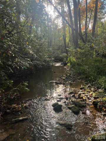 6 Dividing Ridge Trail 01, Arden, NC 28704