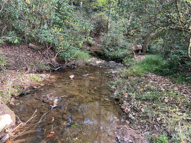 6 Dividing Ridge Trail 01, Arden, NC 28704