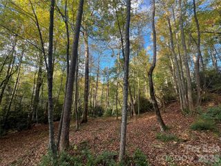 6 Dividing Ridge Trail 01, Arden, NC 28704