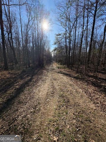 0 Stonepile Road, Clarkesville, GA 30523
