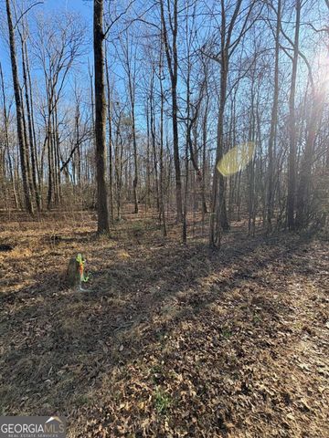 0 Stonepile Road, Clarkesville, GA 30523