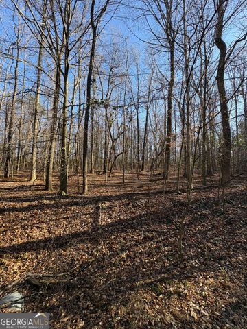 0 Stonepile Road, Clarkesville, GA 30523