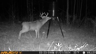 35 ac County Rd 67, Clopton, AL 36317