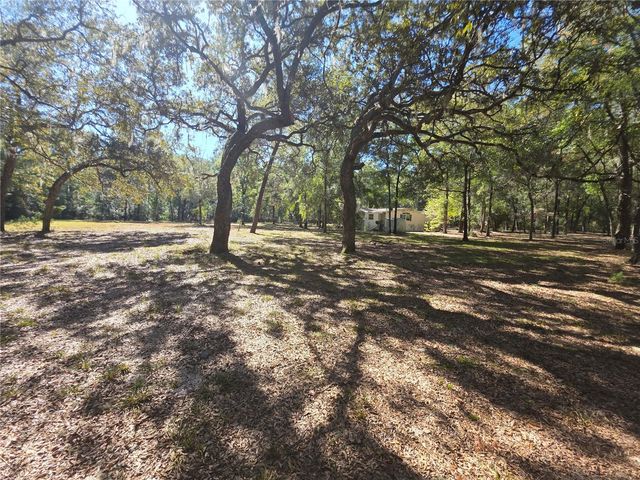 138948 NE 245TH STREET ROAD, Fort Mc Coy, FL 32134