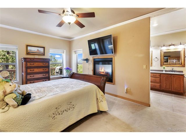 1530 Masters Dr, Woodland Park, CO 80863