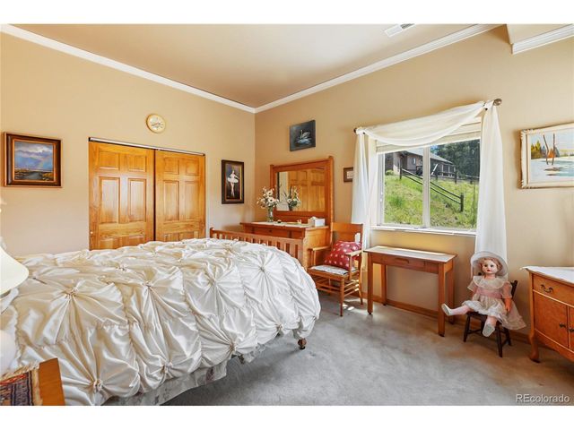 1530 Masters Dr, Woodland Park, CO 80863