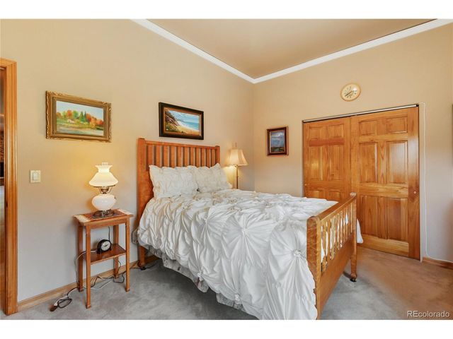 1530 Masters Dr, Woodland Park, CO 80863