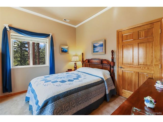 1530 Masters Dr, Woodland Park, CO 80863