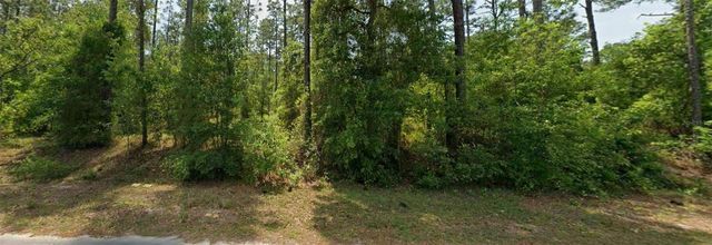 00 NW FALCON AVENUE, Dunnellon, FL 34431
