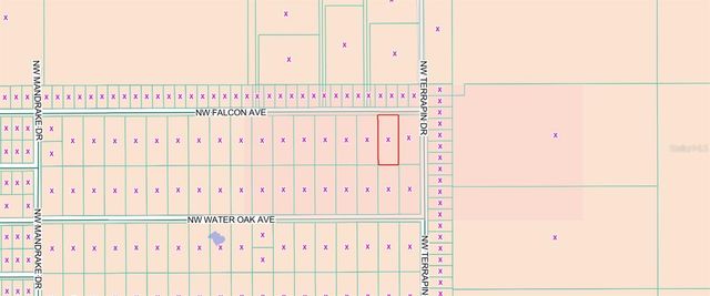 00 NW FALCON AVENUE, Dunnellon, FL 34431
