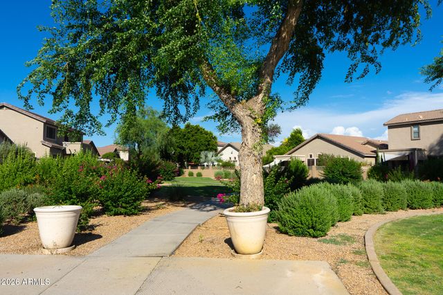 14369 W LEXINGTON Avenue, Goodyear, AZ 85395