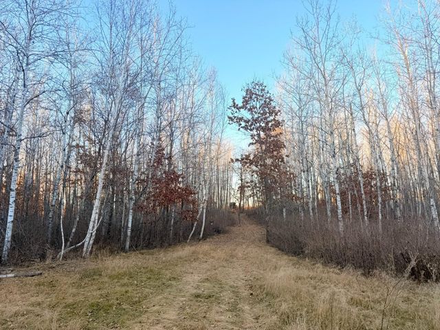 1287 Trinity Pines Lane NW, Powers Twp, MN 56435