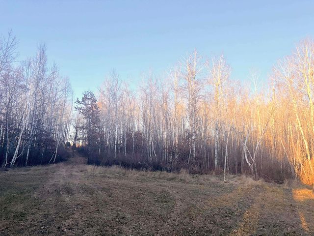 1287 Trinity Pines Lane NW, Powers Twp, MN 56435