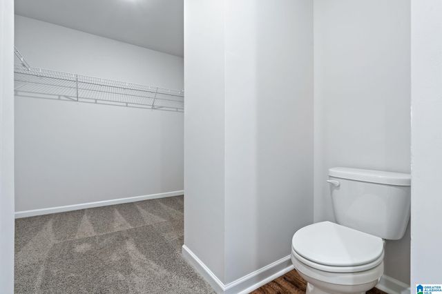 202 BUCKHORN LANE, Lincoln, AL 35096