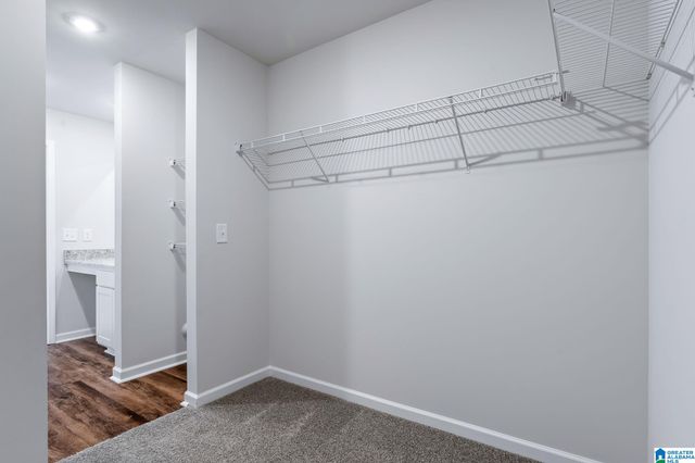 202 BUCKHORN LANE, Lincoln, AL 35096