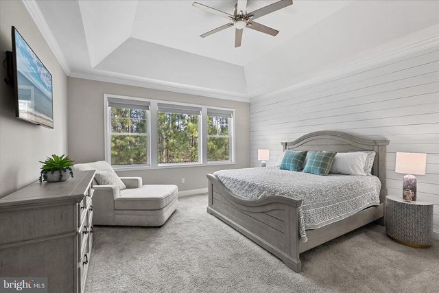 30392 PIPING PLOVER DR, Millsboro, DE 19966