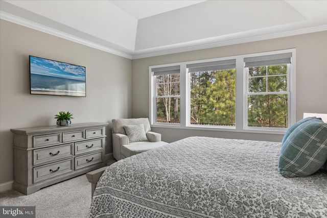 30392 PIPING PLOVER DR, Millsboro, DE 19966