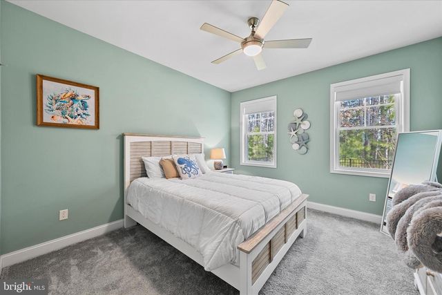 30392 PIPING PLOVER DR, Millsboro, DE 19966