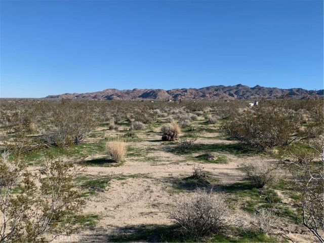 0 California, Joshua Tree, CA 92252