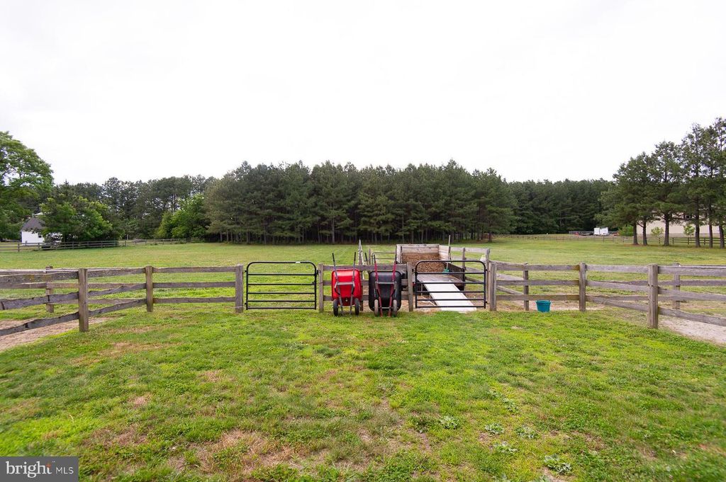Image 95 of property listing at 12136 HOLLY RD, Ridgely, MD 21660