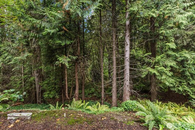 3921 108th Avenue NE #A101, Bellevue, WA 98004
