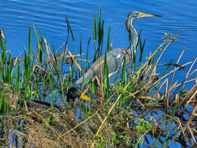 12122 GRAND OAK LANE, Oxford, FL 34484