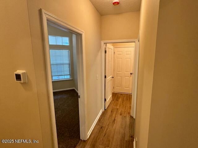 14758 FERN HAMMOCK Drive, Jacksonville, FL 32258