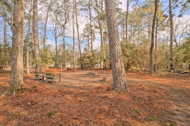 8903 Sendera Drive, Magnolia, TX 77354