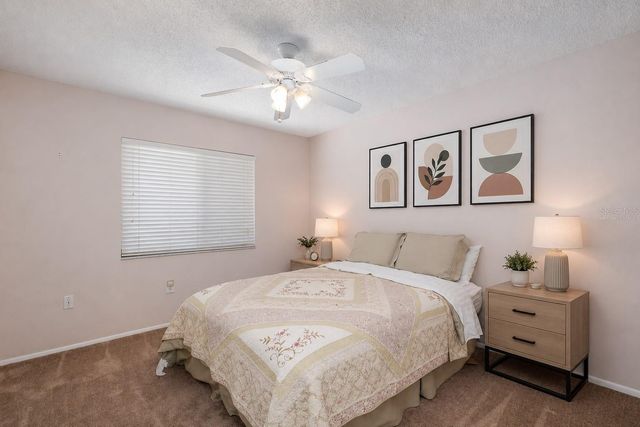 130 NANCY DRIVE 66, Oldsmar, FL 34677