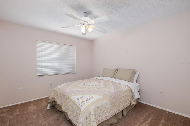 130 NANCY DRIVE 66, Oldsmar, FL 34677