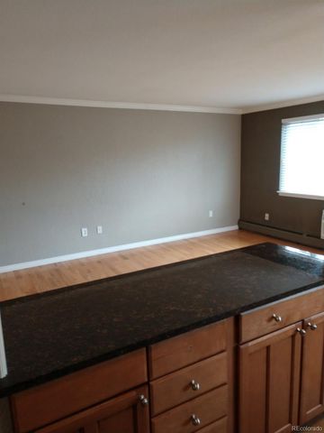 1151 N Marion Street 303, Denver, CO 80218