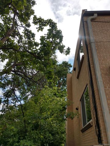 1151 N Marion Street 303, Denver, CO 80218