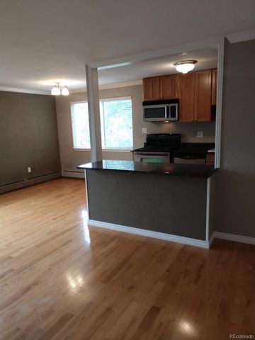 1151 N Marion Street 303, Denver, CO 80218